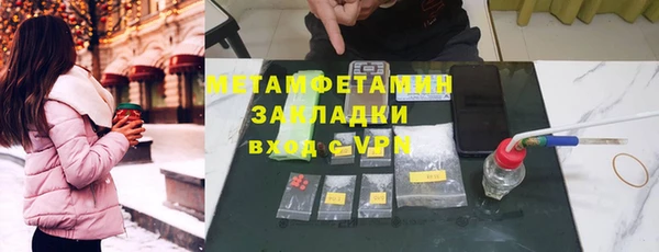 прущие грибы Богородицк