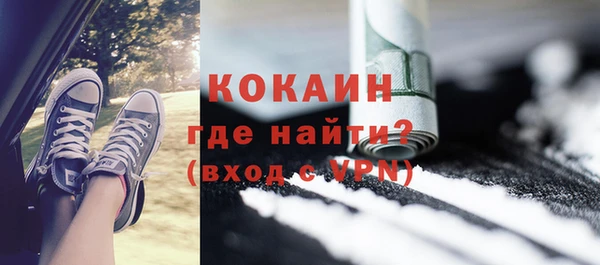 прущие грибы Богородицк