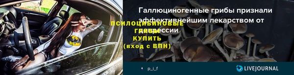 МДПВ Богданович