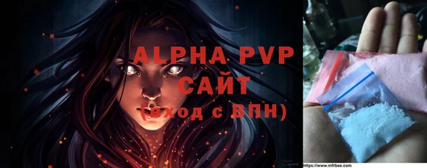 прущие грибы Богородицк