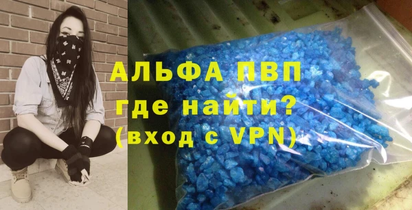 прущие грибы Богородицк