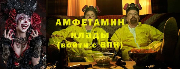 прущие грибы Богородицк