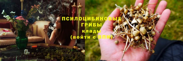прущая мука Богородск