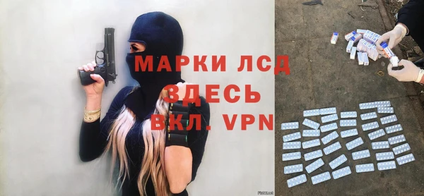 прущие грибы Богородицк