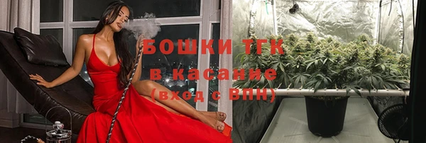 прущие грибы Богородицк
